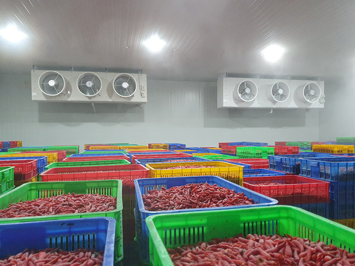 dan-kho-lanh-diamond-cool